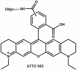 Bio-Synthesis Inc. Oligo Structure